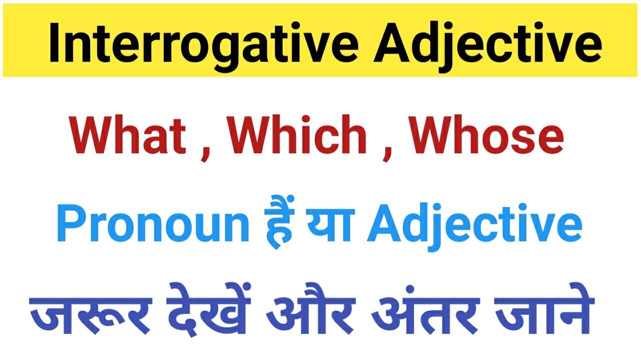 Interrogative Adjective / Interrogative Adjective in English Grammar