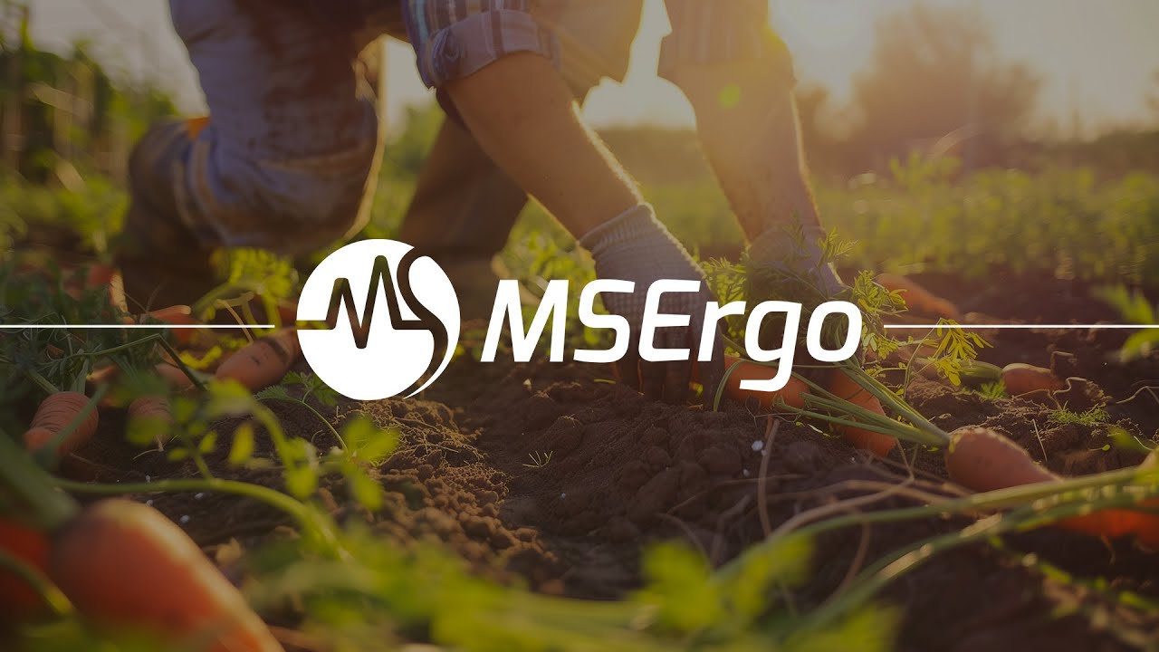 Análise Ergonomica da colheita da cenoura com o MSErgo