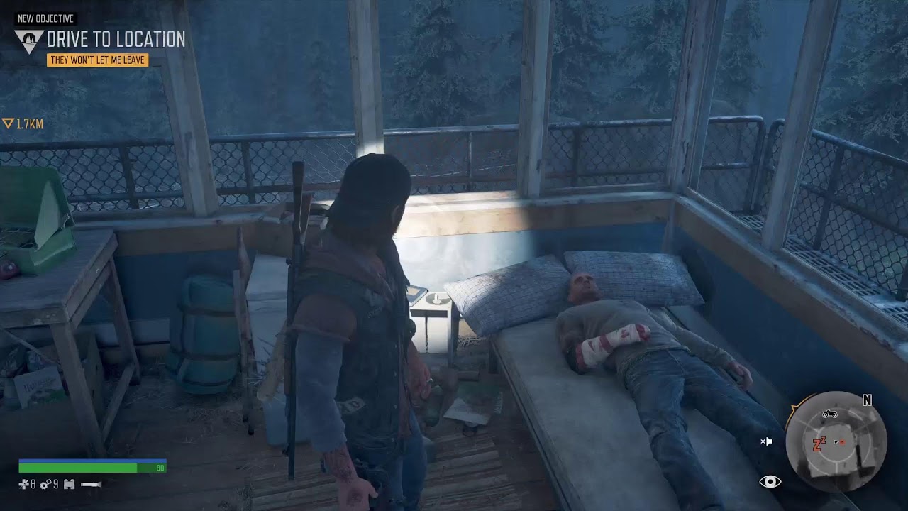 Days Gone