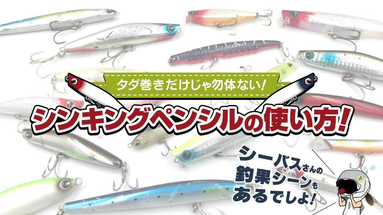 【シーバス】タダ巻きだけじゃ勿体ない！ シンキングペンシルの使い方！　釣果シーンもあります！