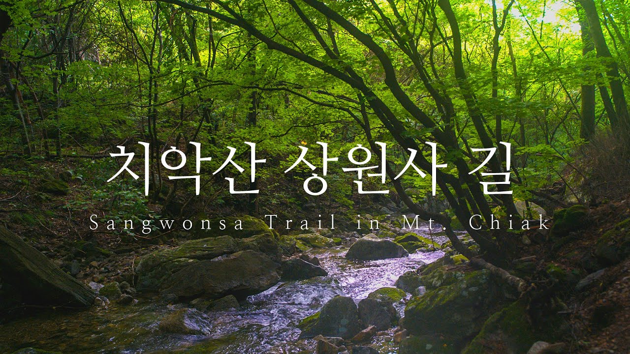 끝없이 새로운 폭포가 나오는 이끼계곡 - 치악산 상원사길 남대봉 트래킹 / 자막 / 세존대 / 원주가볼만한곳 | Cinematic Scenic Travel