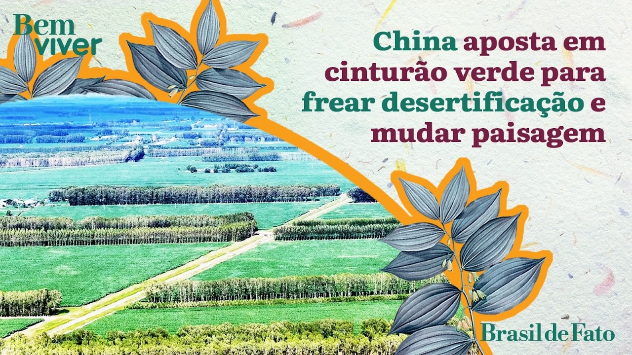 China aposta em cinturão verde para frear desertificação e mudar a paisagem | Bem Viver