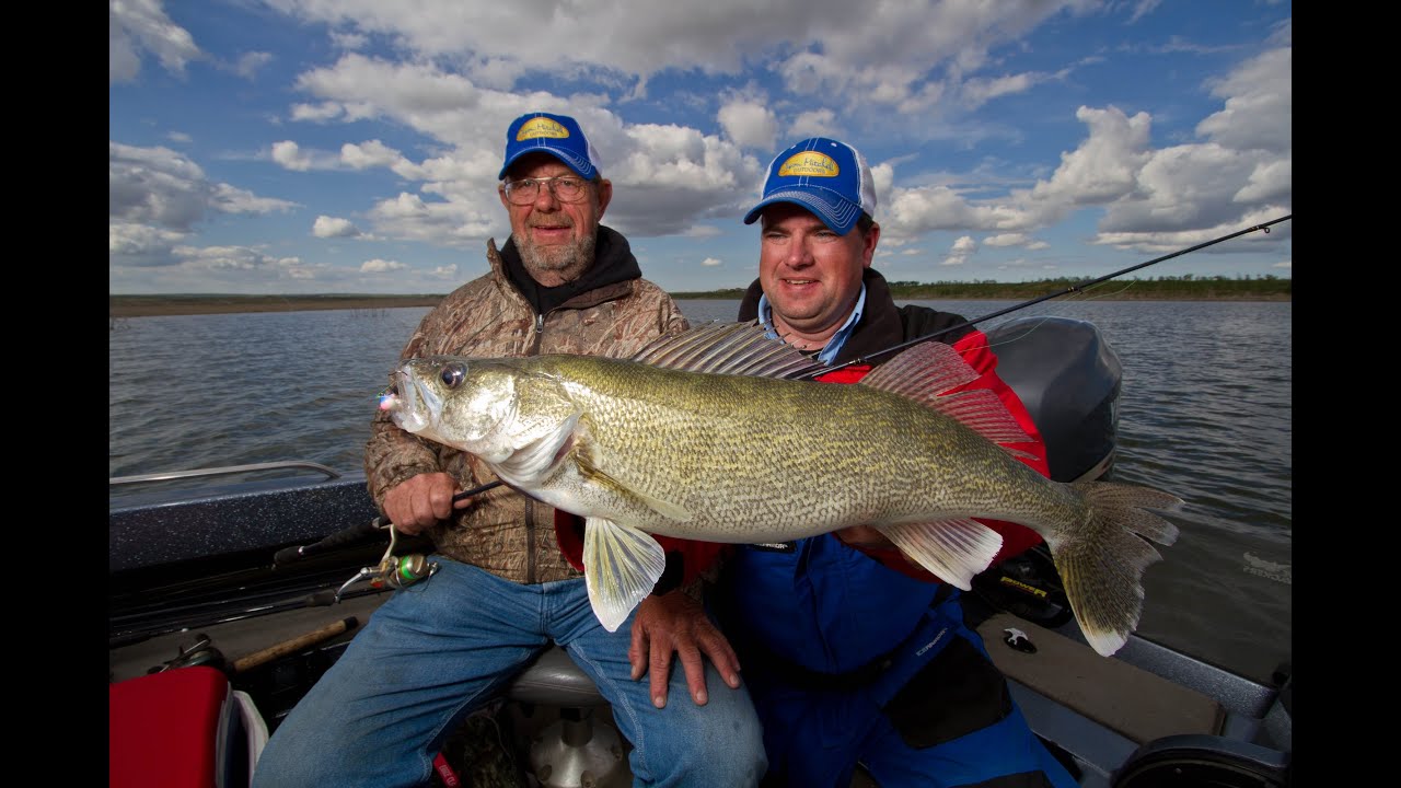 Pitching Jigs for Shallow Spring Walleye