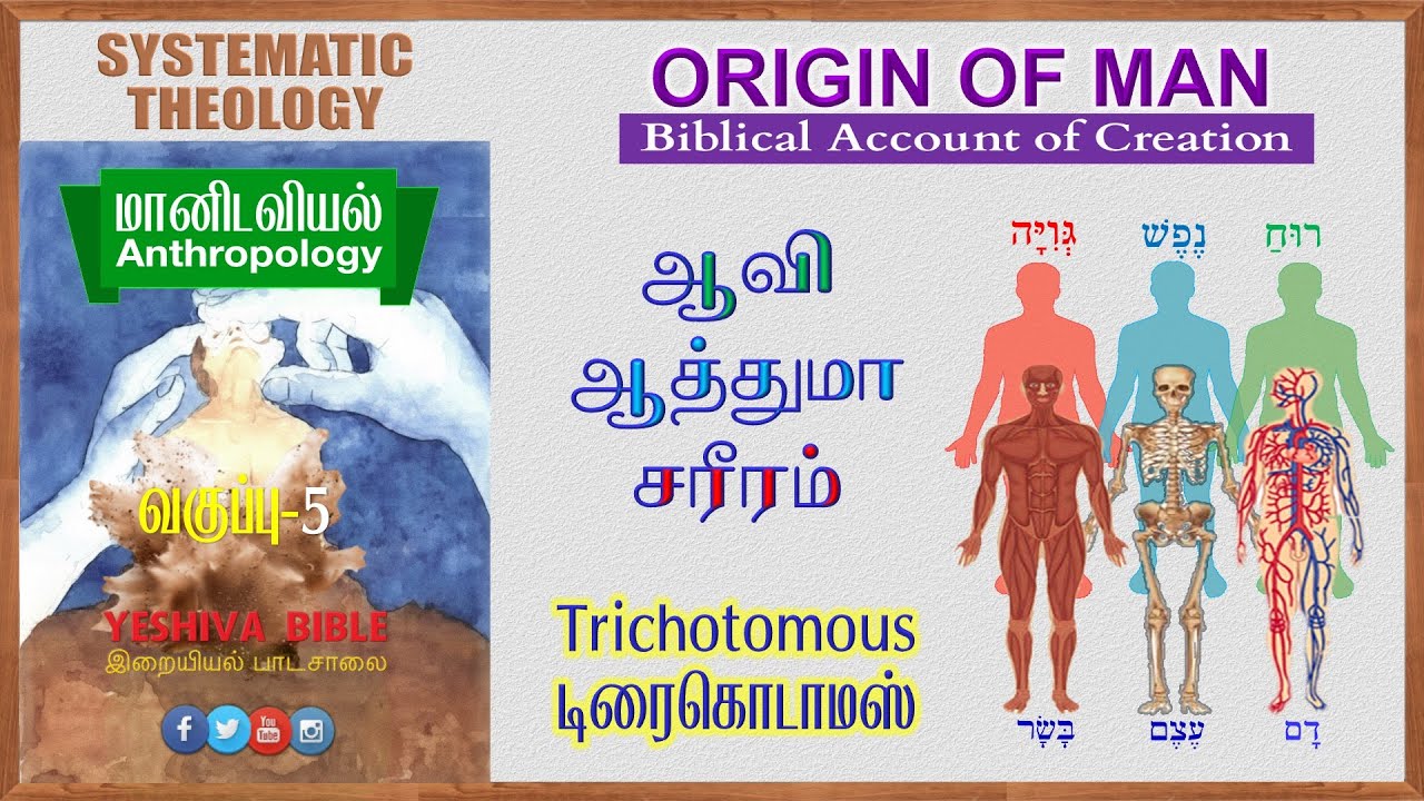 5.மானிடவியல்  I சிஸ்டமாடிக் தியோலோஜி I  Trichotomous டிரைகொடாமஸ்I