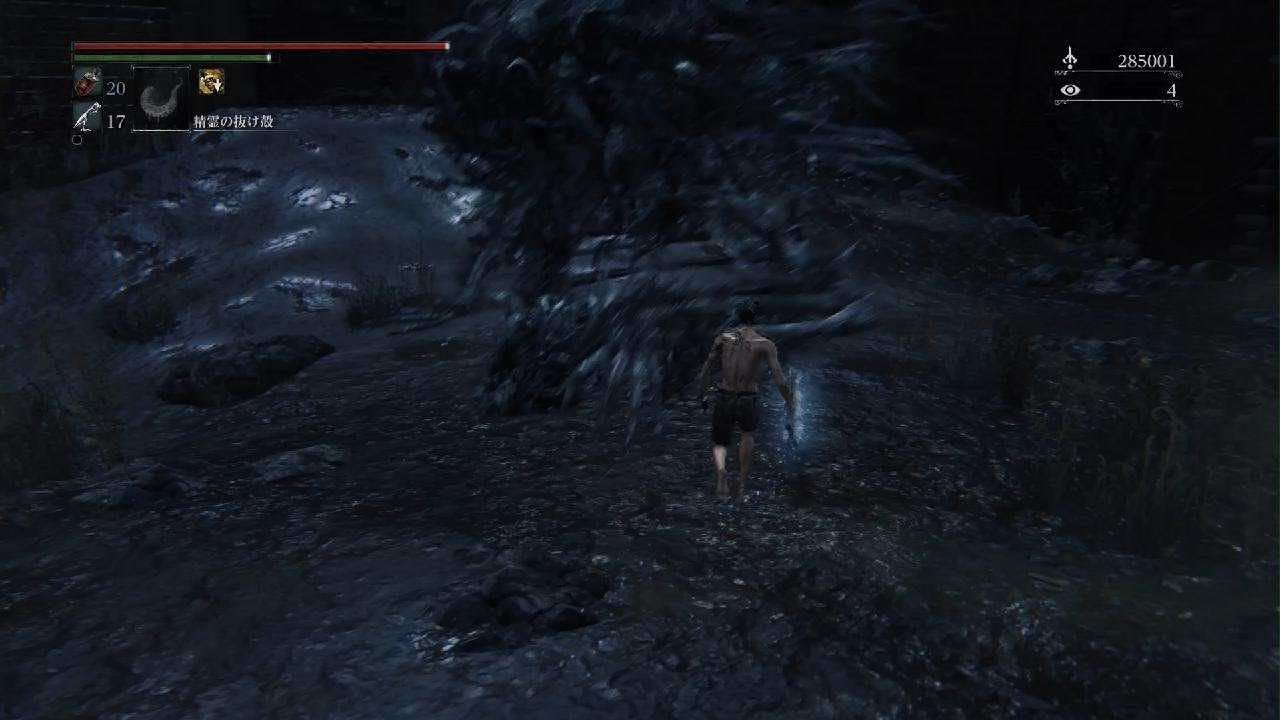 【Bloodborne】黒獣パール　7週目　裸