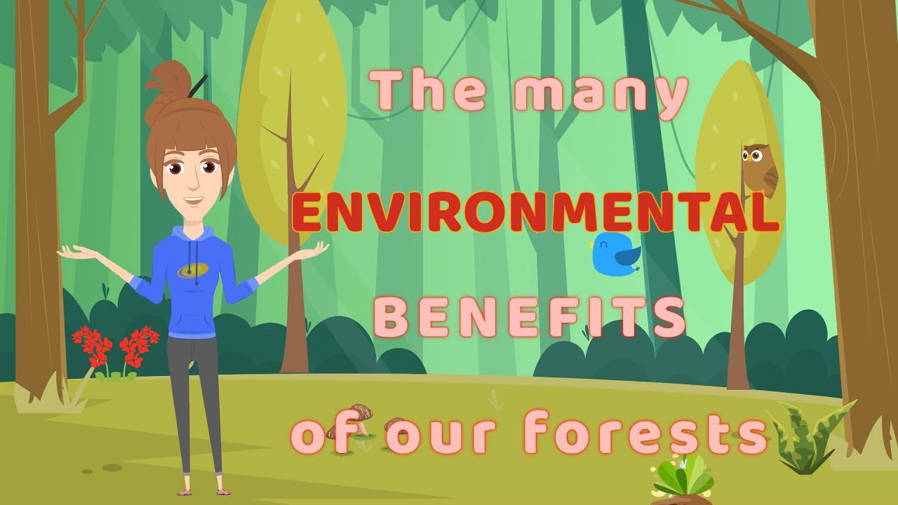 Environmental benefits of forests