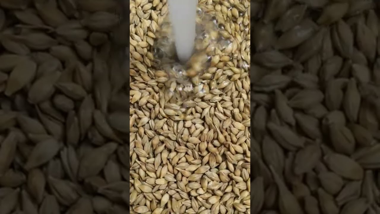 Przetwarzanie ziarna na sł&oacute;d