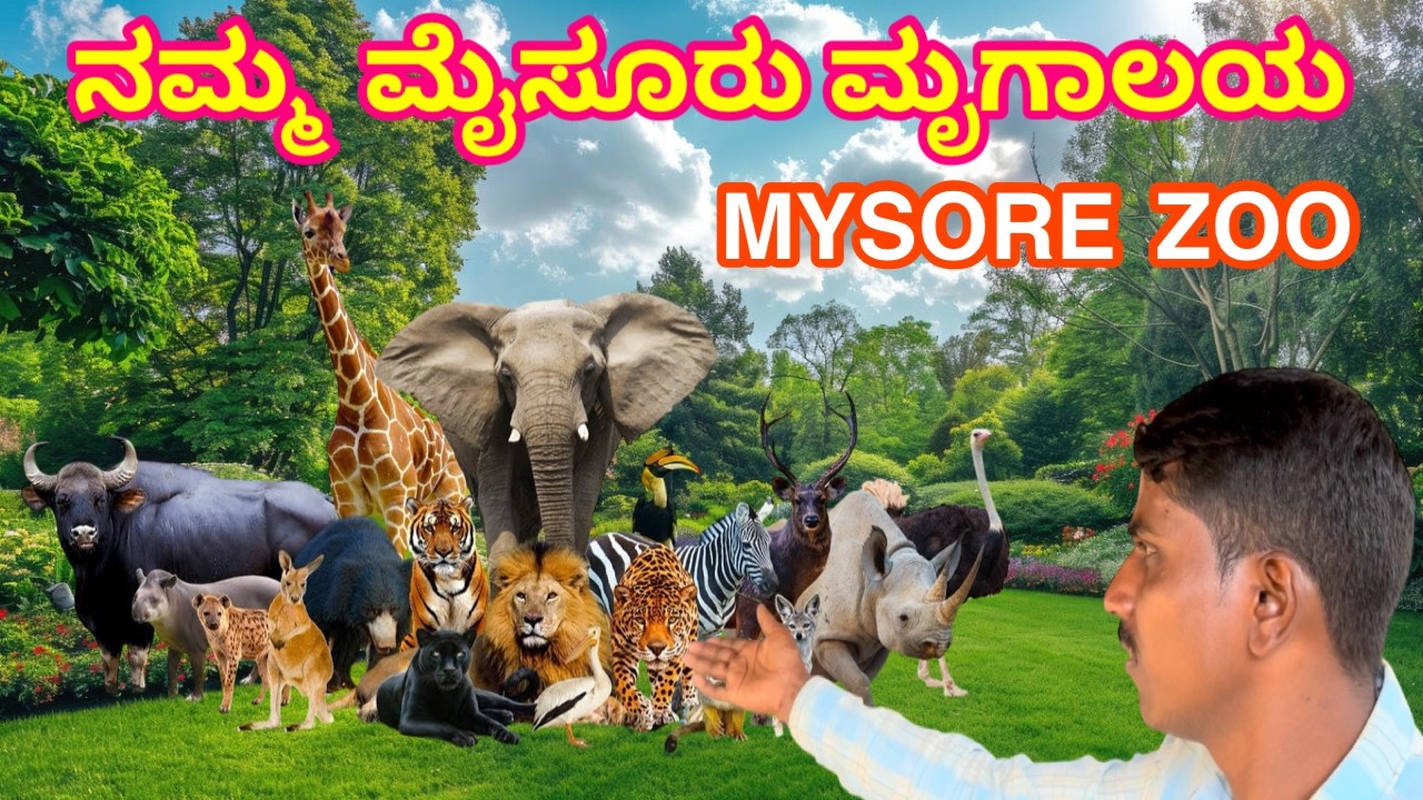 Mysuru zoo inside ನಮ್ಮ ಮೈಸೂರು ಮೃಗಾಲಯ ಯಾವೆಲ್ಲ ವಿಶಿಷ್ಟ ಪ್ರಾಣಿಗಳಿವೆ? 