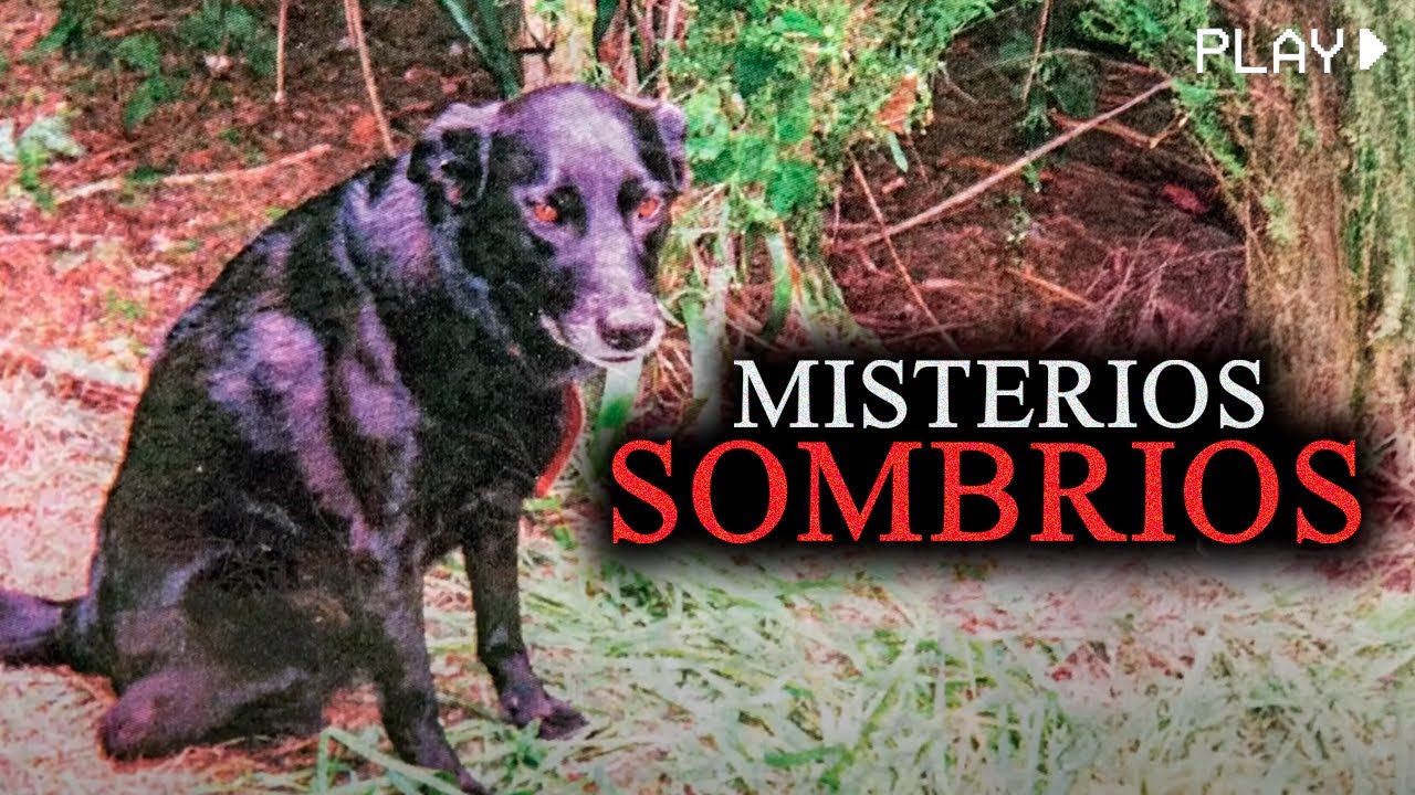 Mist&eacute;rios Bizarros Sem Solu&ccedil;&atilde;o