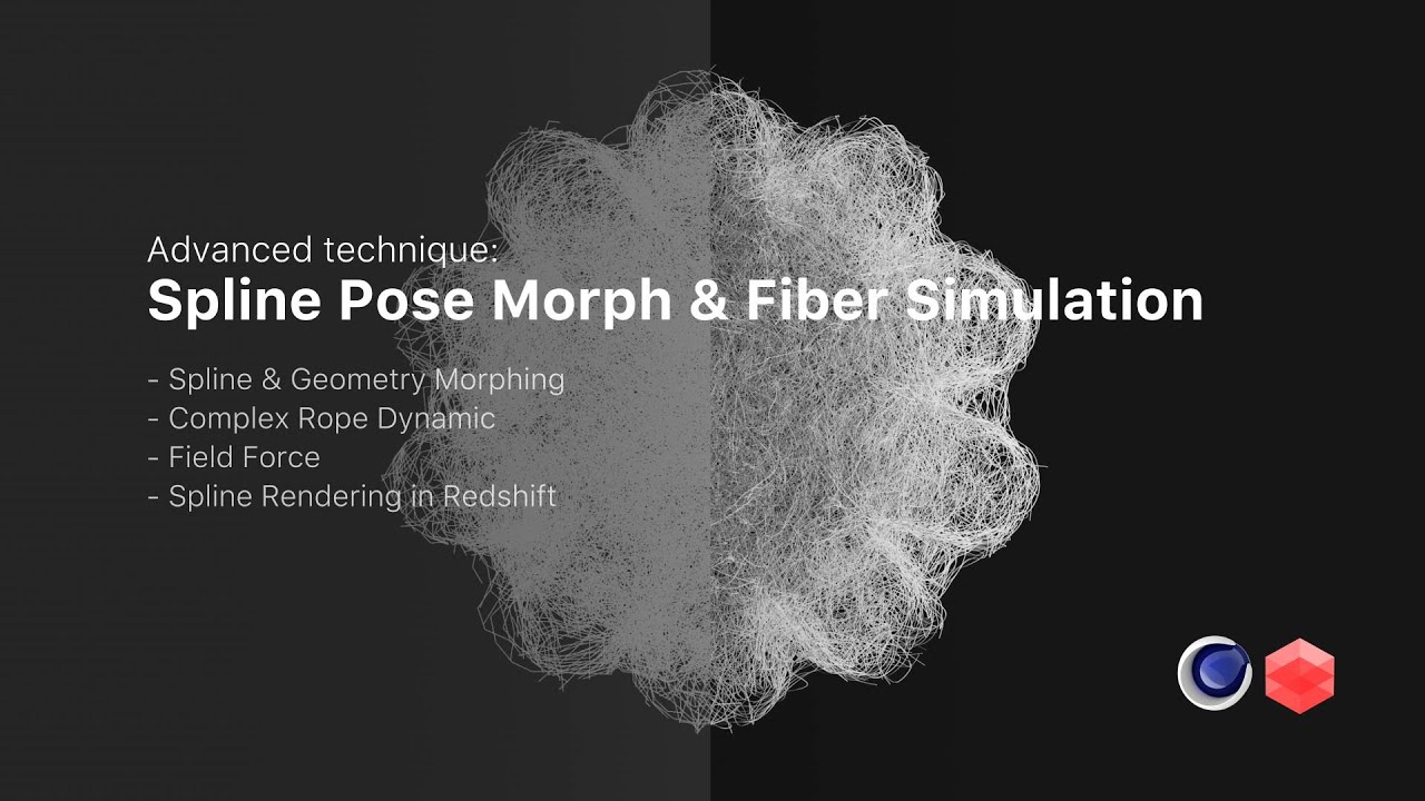 Spline Morph and Fiber Simulation in Cinema 4D (Redshift)