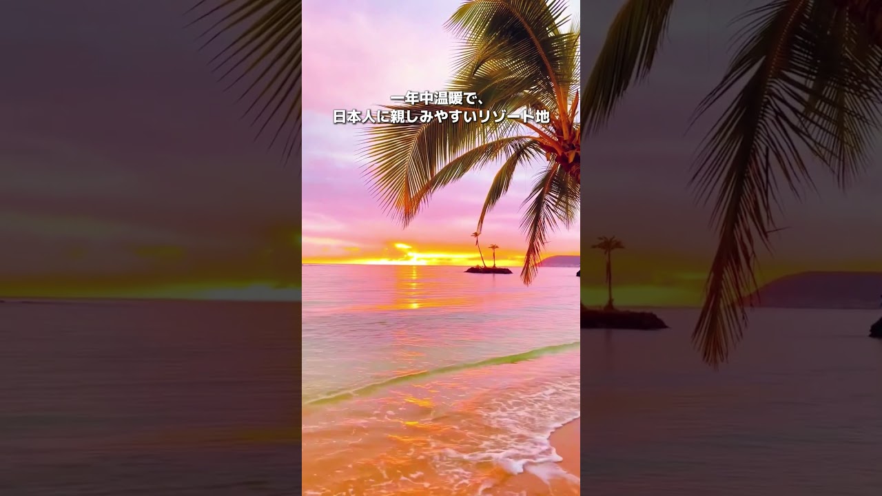 年末年始に行くならここ！暖かい海外旅行先おすすめ3選！🌊🌞✨