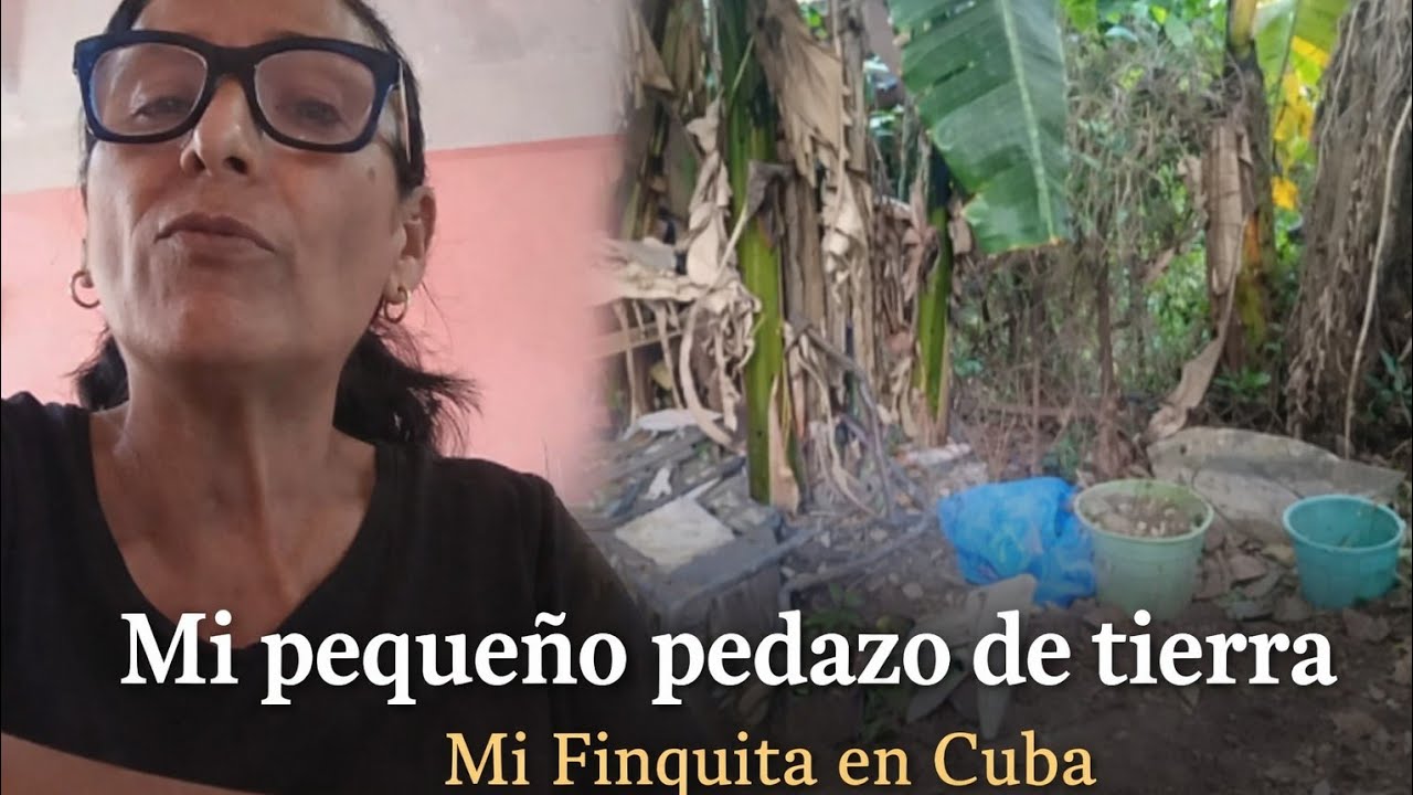 🇨🇺🌴Mi pequeño pedazo de tierra 