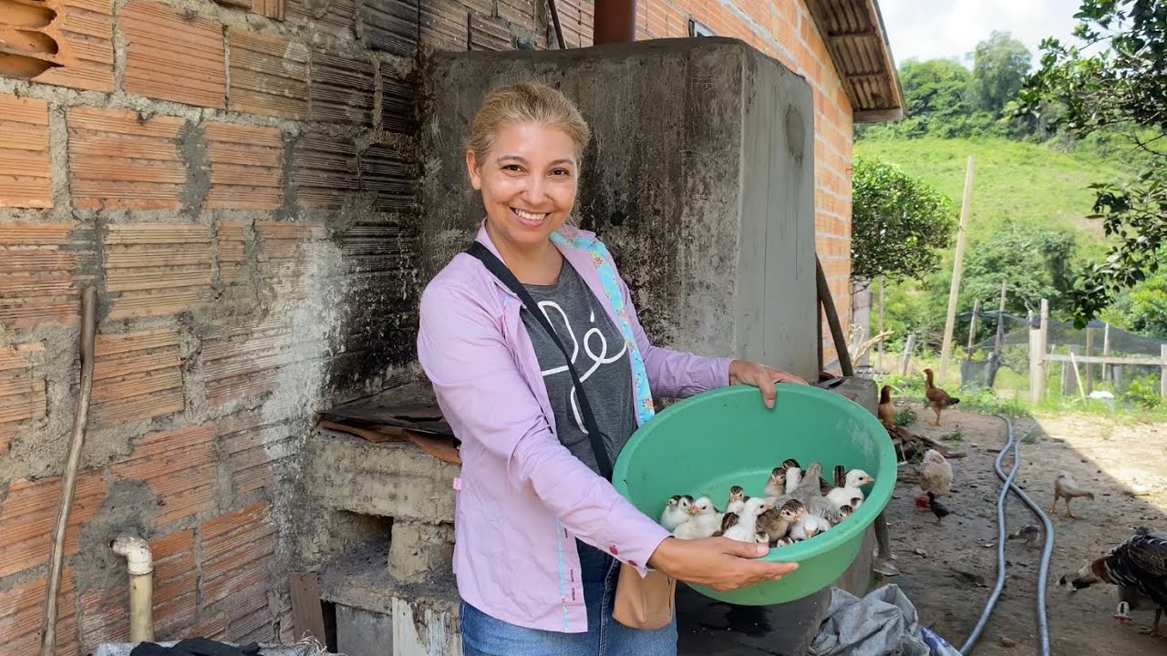 O LUGAR MAIS INCRÍVEL, COM MUITAS AVES, VIDA RAIZ 