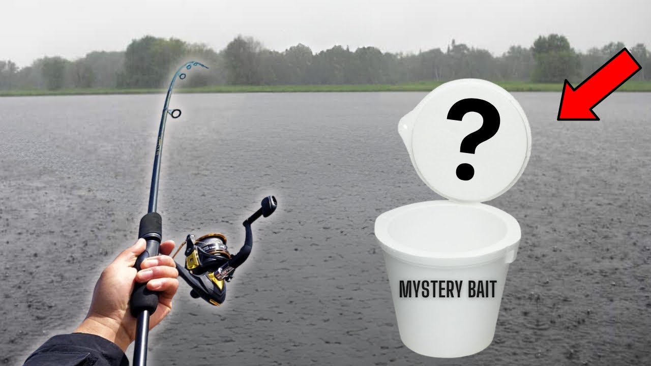 Fishing In Rain With SECRET BAIT! (Insane Action!)