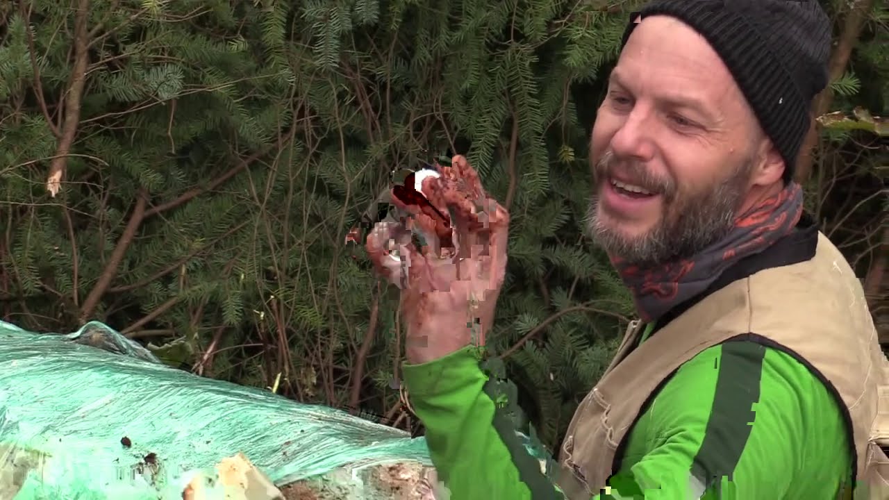 WSDA's 2020 Asian Giant Hornet Response - A look behind the scenes