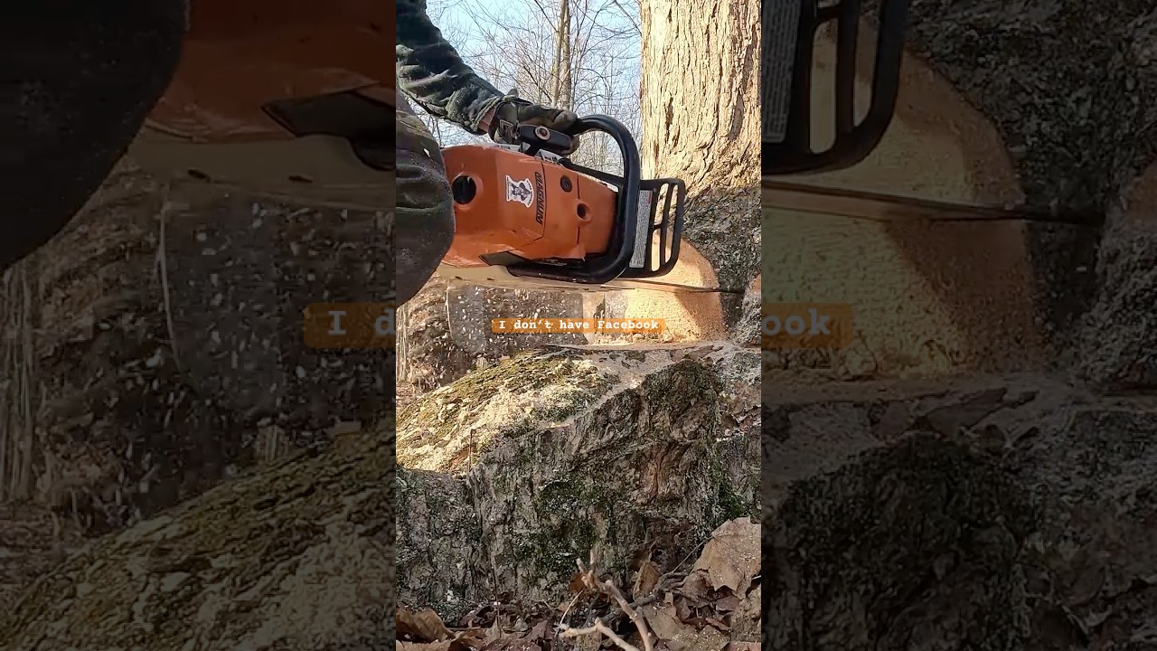 Power wedge #logging #outdoorwork #treecutting #shorts #skidder