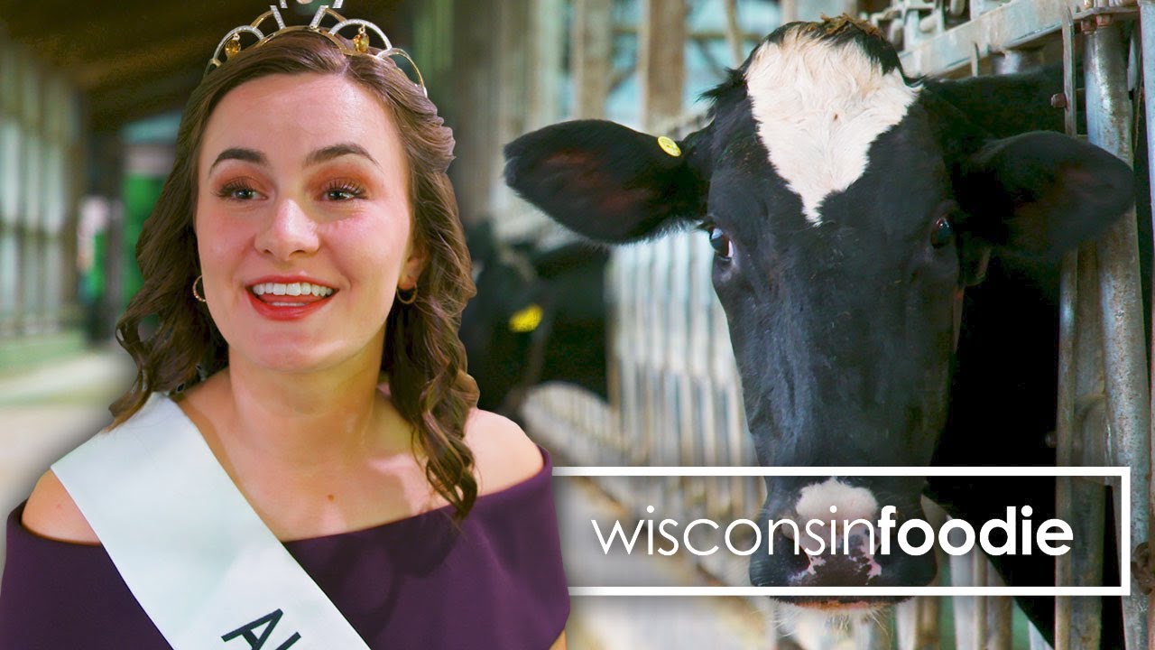 Alice in Dairyland