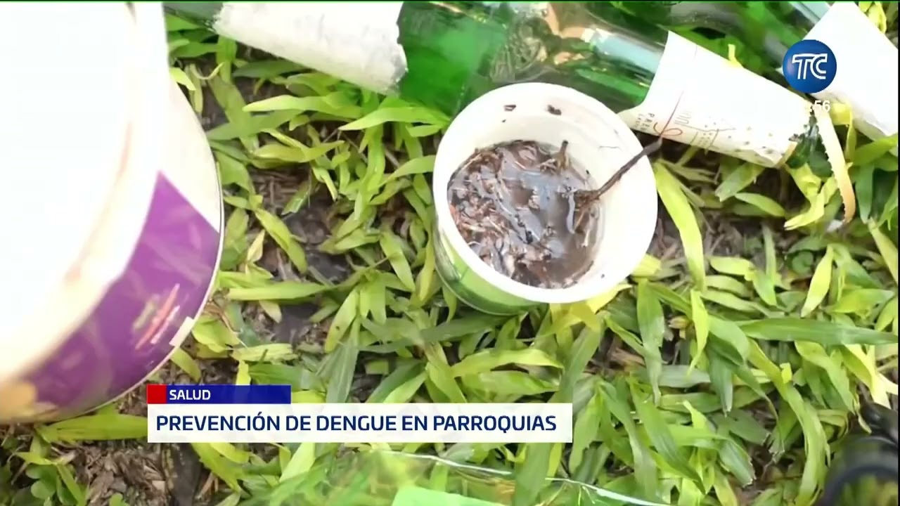 Campaña para prevenir el dengue