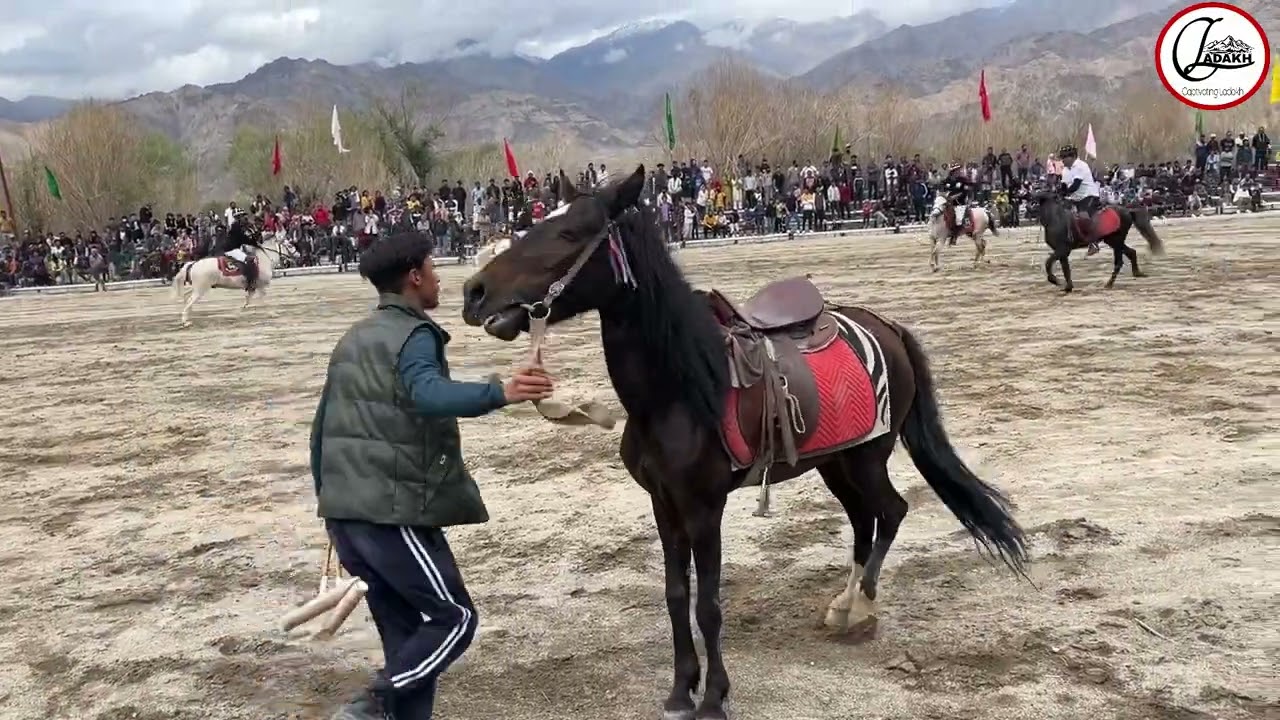 Ladakh Polo Festival 2023 || Leh Ladakh
