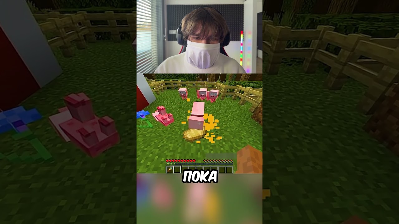 Эти свинки очень странные! #шортс #майн #майнкрафт