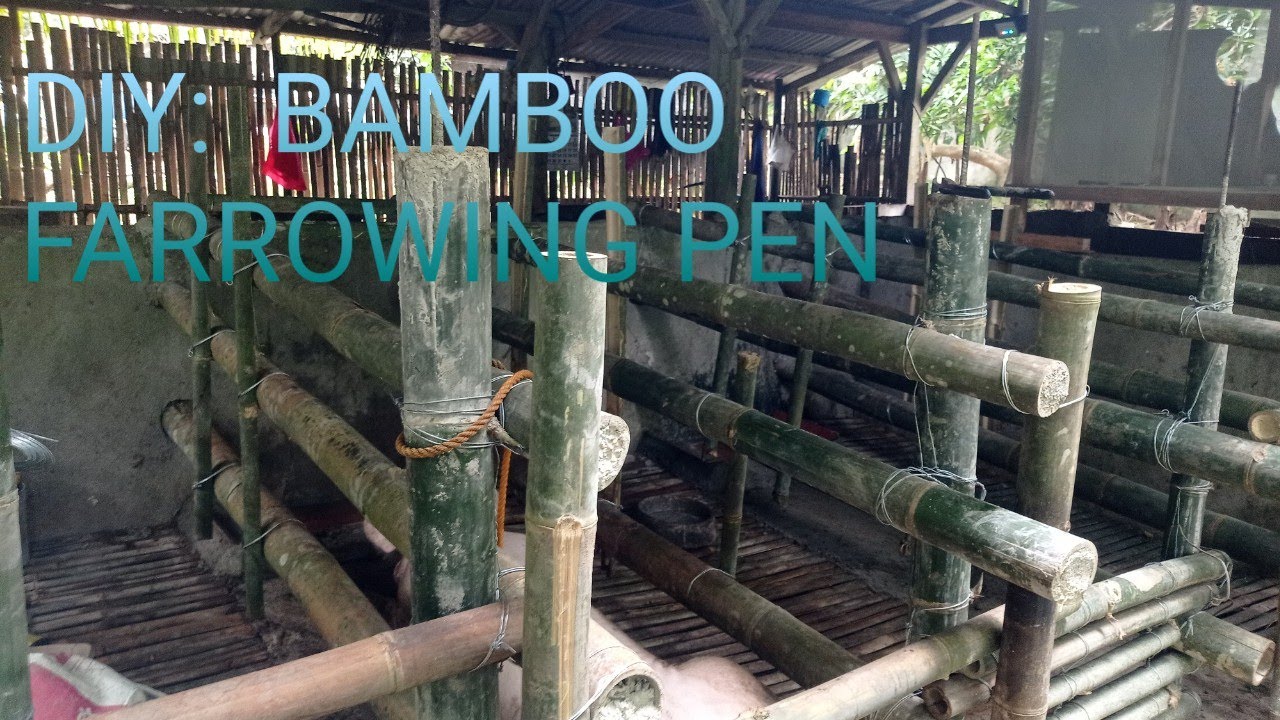 DIY: Bamboo farrowing pen
