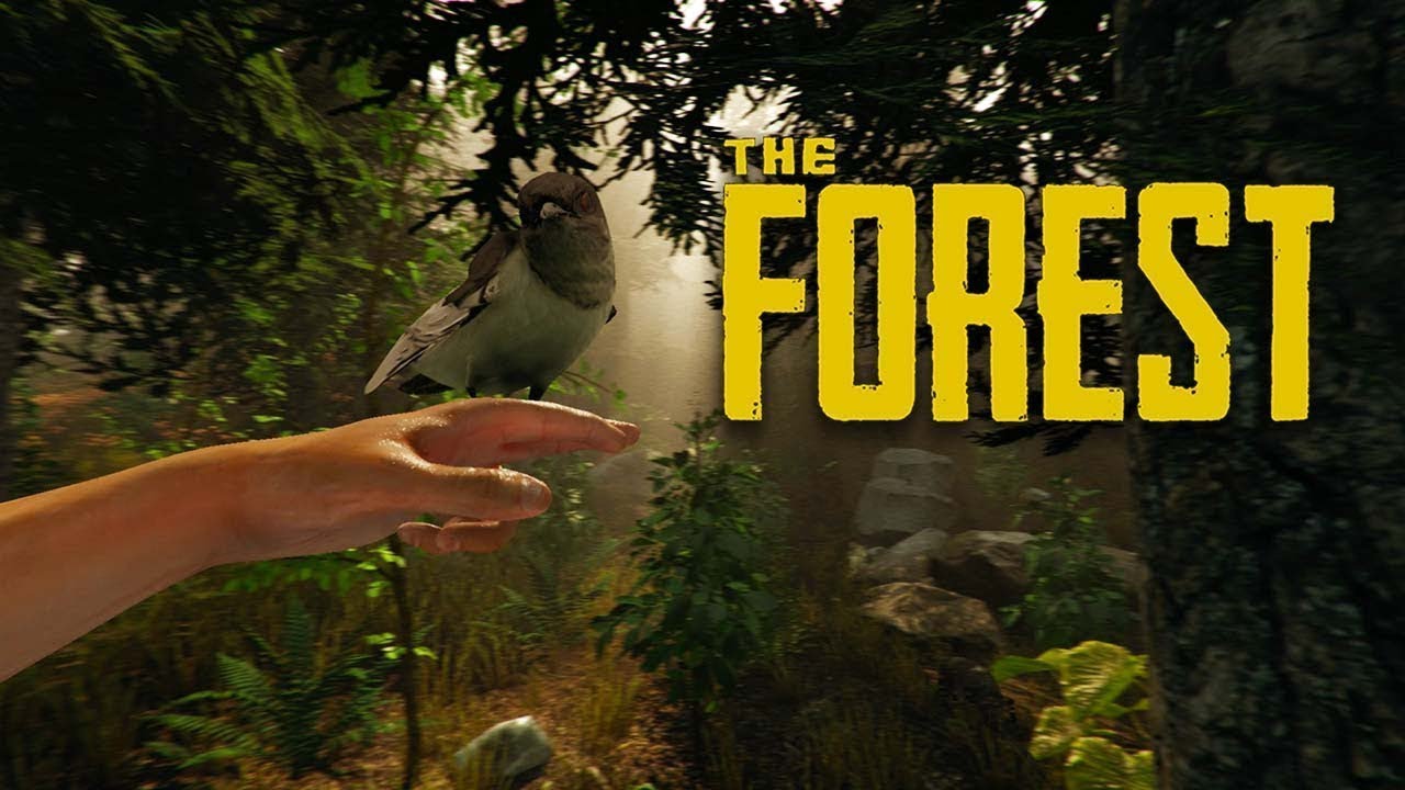 The Forest: Will we find Timmy today?