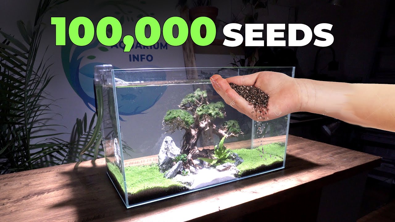 I Planted 100,000 Seeds In A Fish Tank