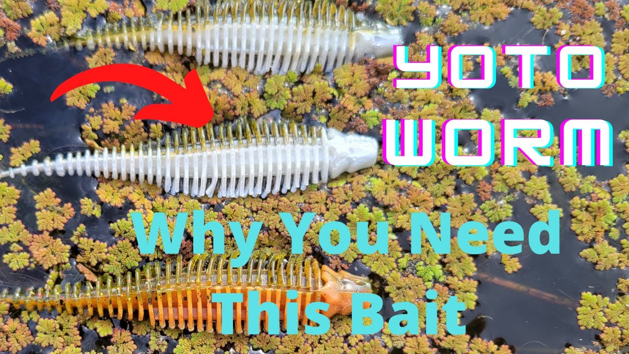 10,000 Fish Yoto Worm Bait Review.