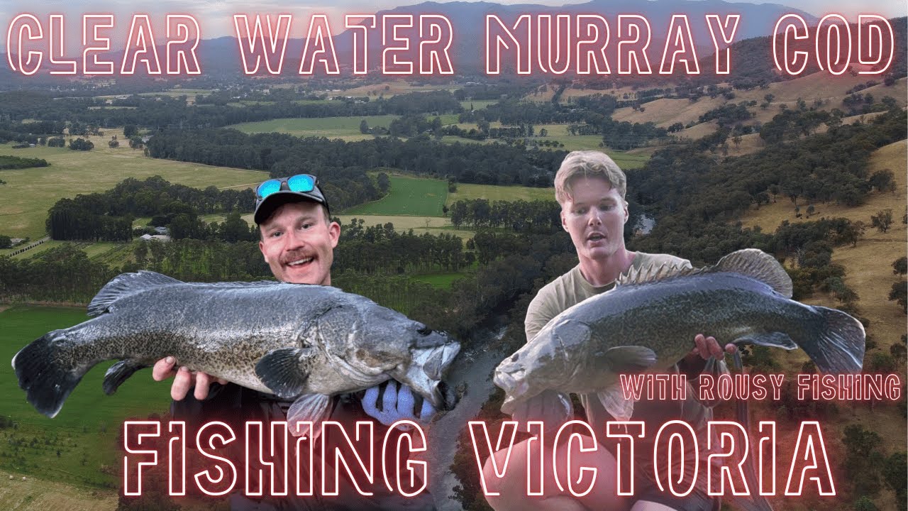 CLEAR WATER MURRAY COD FISHING VICTORIA - THE MOVIE : With Rousy Fishing