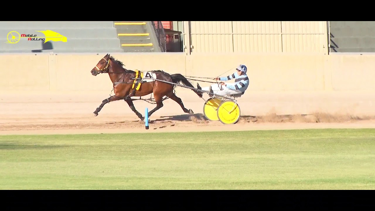 Wayville Harness Racing  - 1st Trial 4/12/19