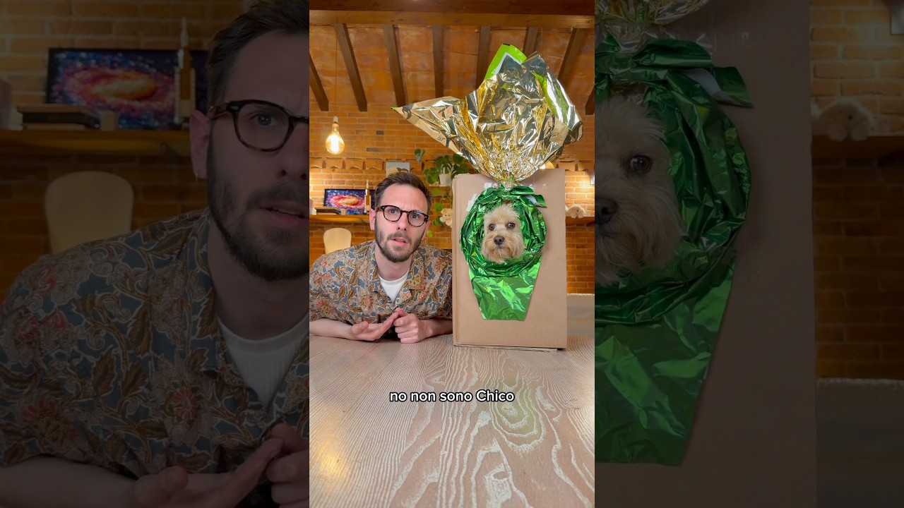 Pasqualino 🥚  #chico #divertente #cane #canedivertente #funny
