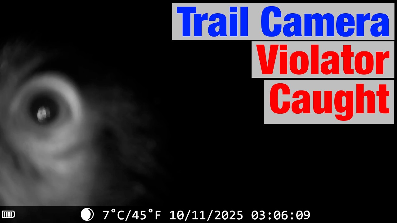 Ranch Game Camera Catches Vandal In The Act