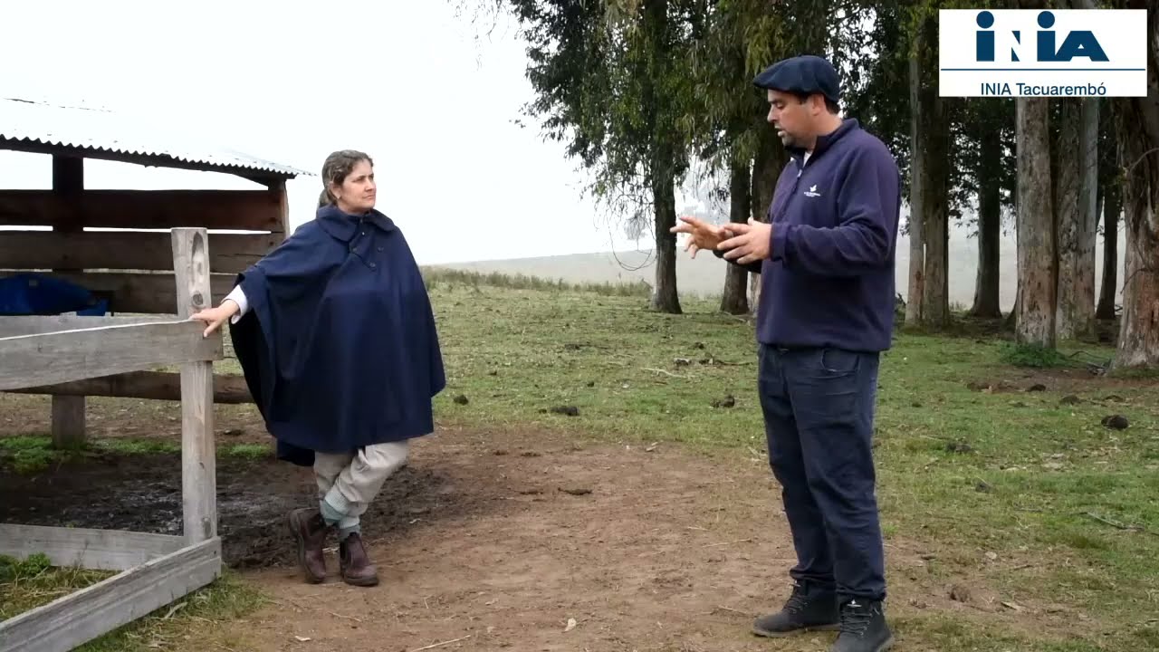 Creep feeding - Testimonio de Manuel Pereira