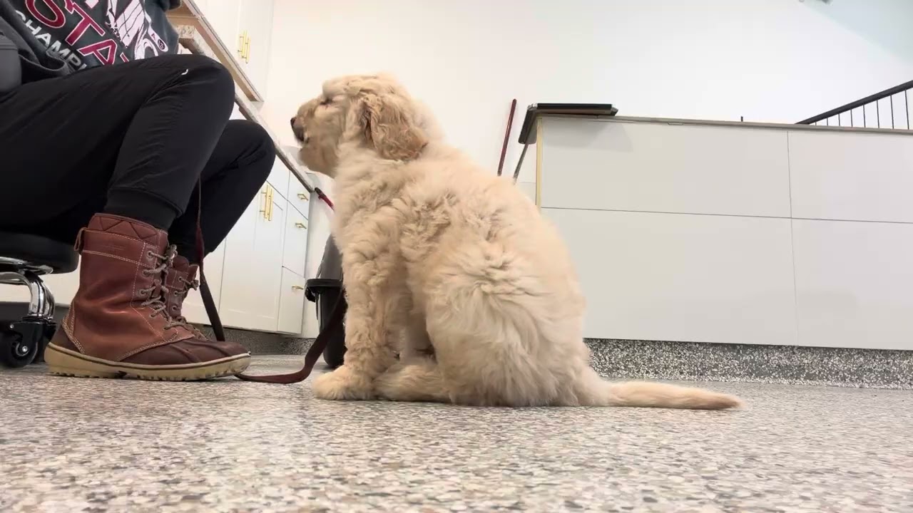 Turner’s Intro To Crate 2.25.26