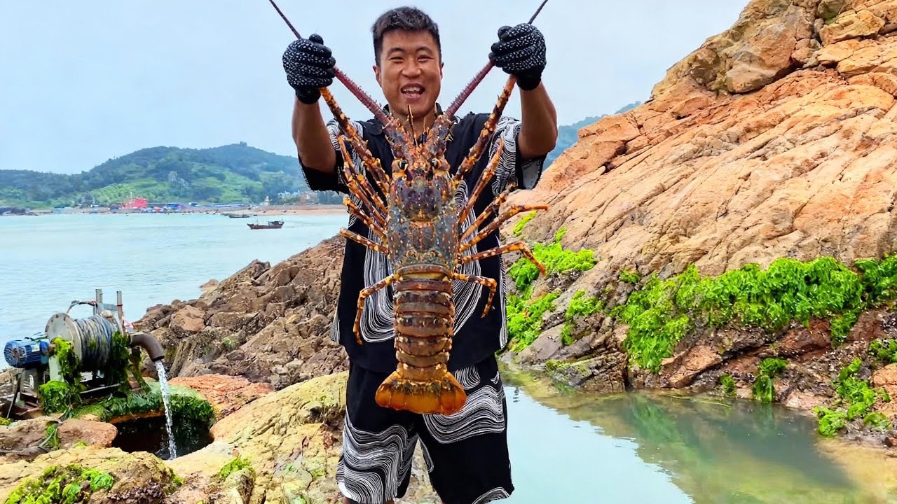 天价鱼饵极限测试：超级鲜鳗鱼尾巴打窝，是智商税还是黑科技？【阿甘阿甘大海抽干】