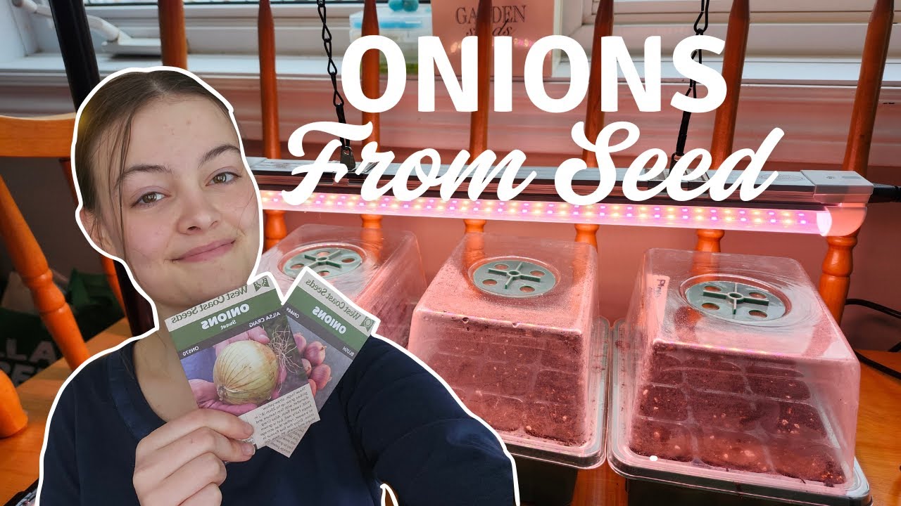 Starting My Onion Seedlings Indoors for My 2026 Garden