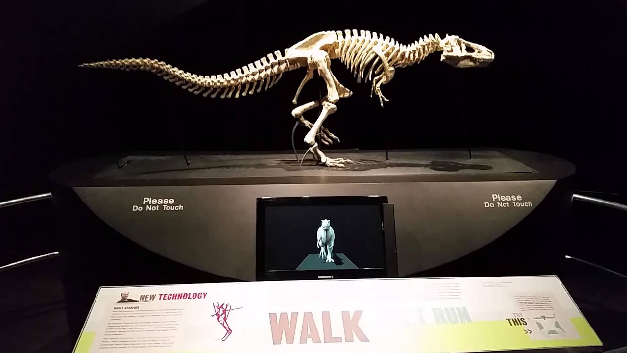 Body dynamics of a Dinosaur at Prairiefire Museum