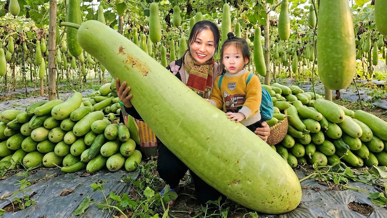 Simple Farm Life | Selling Fresh Gourds & Cooking Unique Gourd Dishes With My Daughter