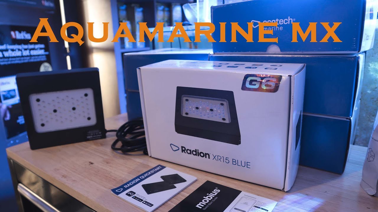 Radion G6   Blue / Pro