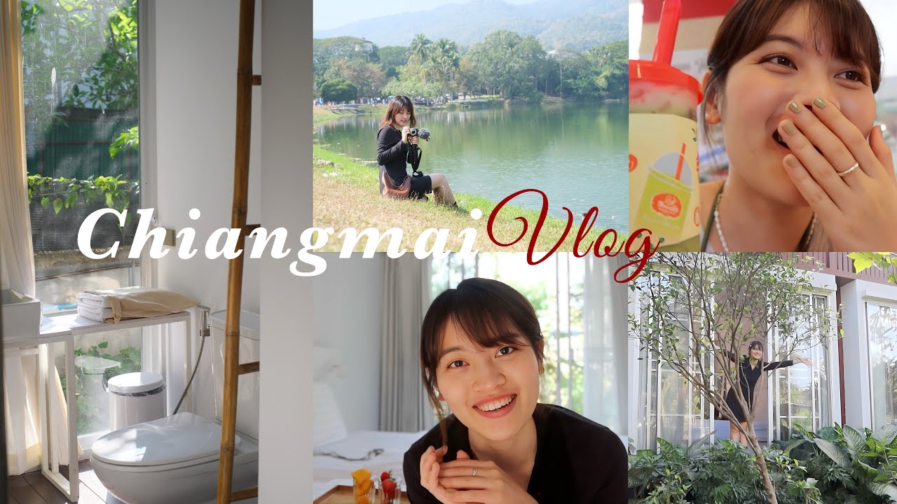 清邁我來了～市中心超棒森林民宿、在泰國當椰子富翁🥥🇹🇭