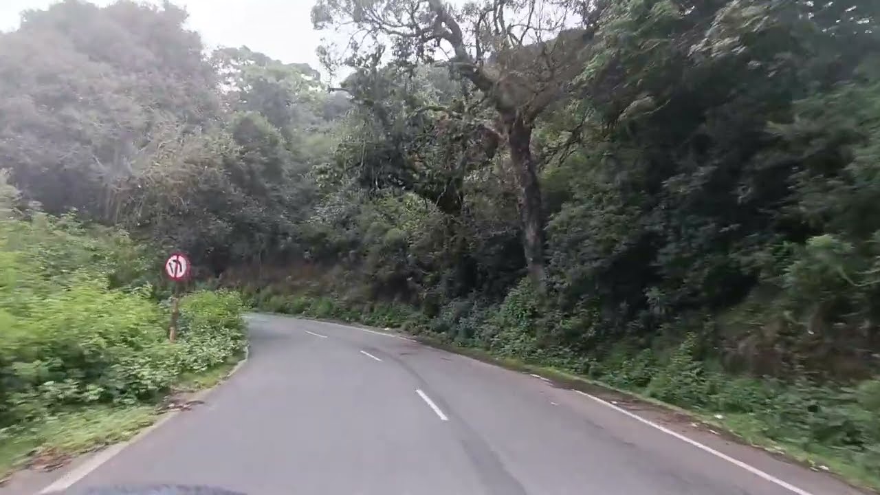 Gudalur to Ooty road 🛣️ Trip part01