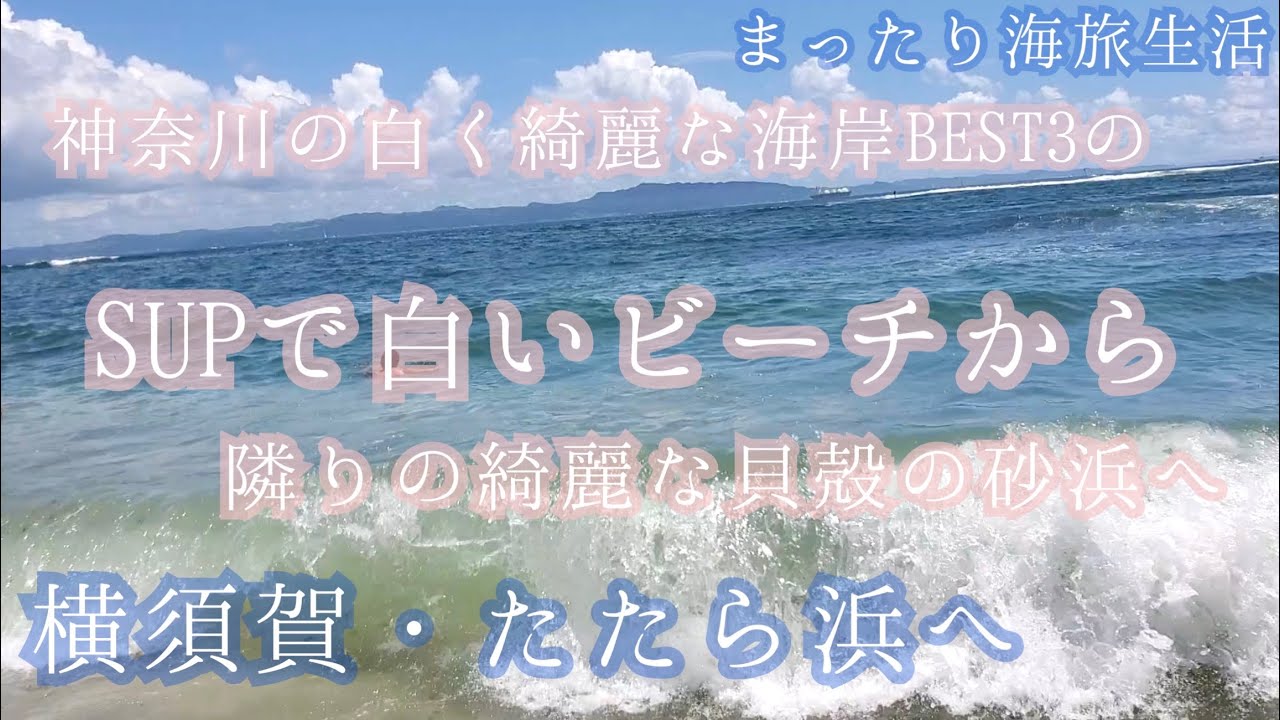 神奈川の白く綺麗な海岸BEST3 SUPで白いビーチから　隣の遠浅で綺麗な貝殻の海岸へ　SUPでぶらり横須賀・たたら浜へ【まったり海旅生活】