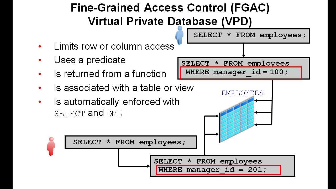 Using Virtual Private Database with Oracle Database 12c