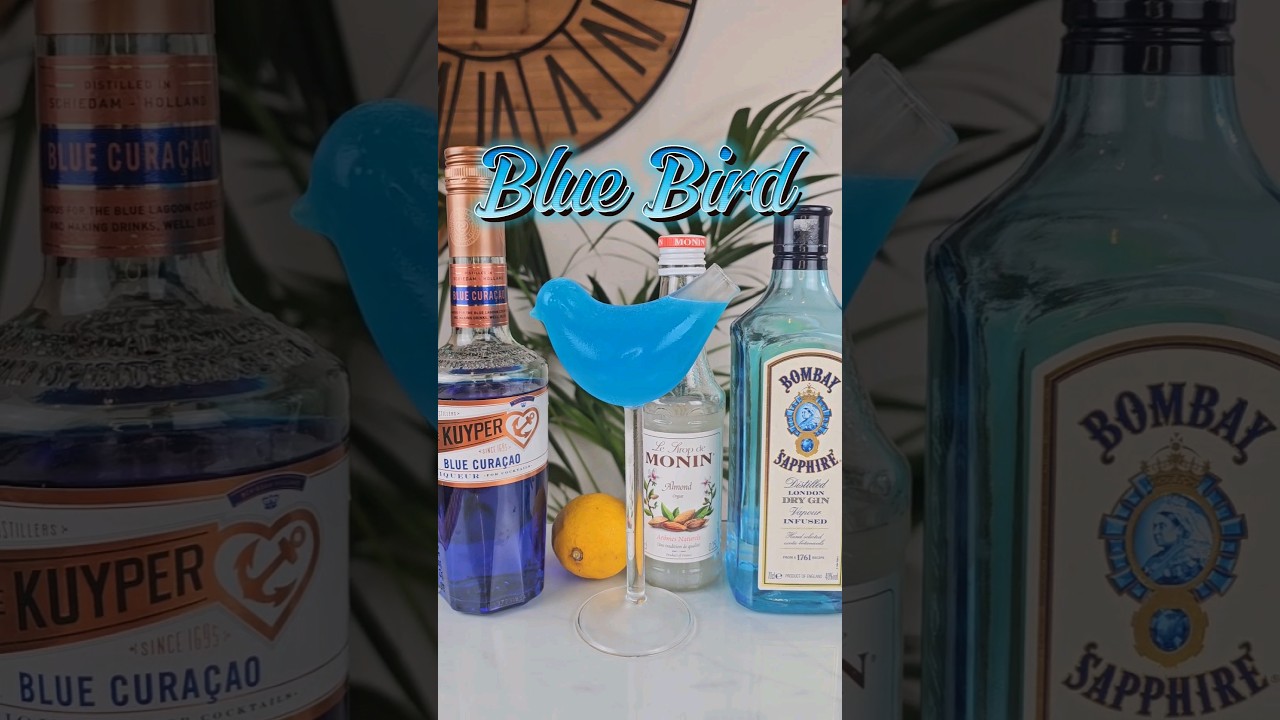 Blue Bird cocktail recipe #bluebird #cocktail #recipe #drink #fyp #howto #easycocktail #blue #uk