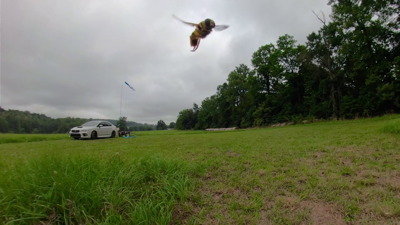 PPG Heroin:  Cloudy Day flight