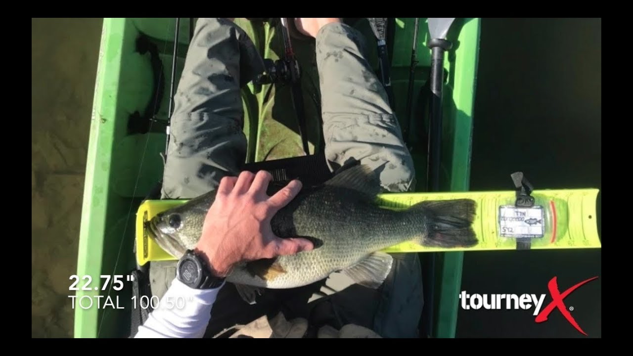 June top 5 fish & the KBF monthly results!!!