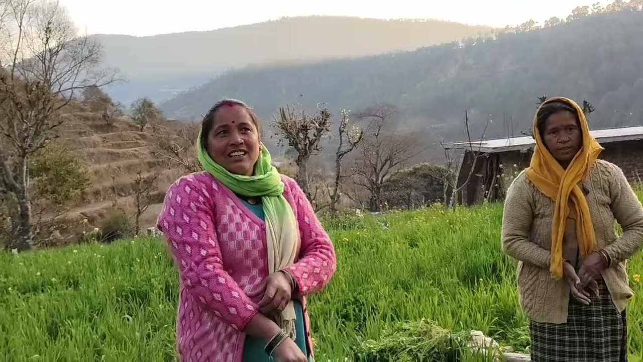 जलागम द्वारा किए जा रहे प्रयास, ग्राम टाना विकासखंड ताड़ी खेत