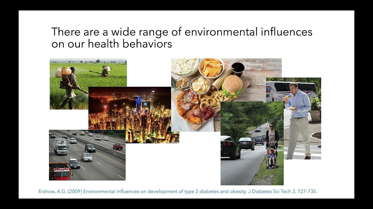 What is an Obesogenic Environment?