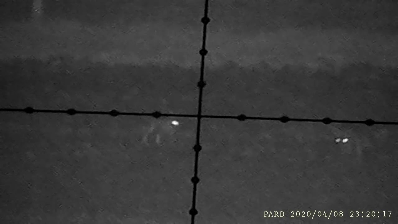 Pard 007 16mm on Bushnell Elite 6500 4.5-30-x50 scope - 018 Hares Running