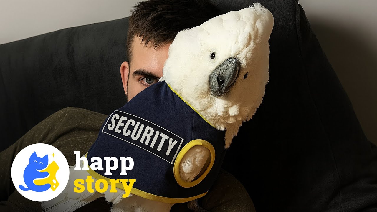 Этот попугай ненавидит меня, но обожает моего мужа, и я просто здесь 😭 | HAPP